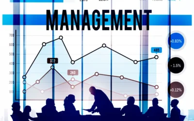 What Is Risk Appetite and Why It Matters for Organisations